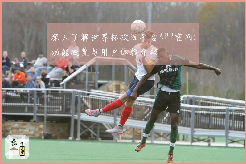 深入了解世界杯投注平台APP官网：功能概览与用户体验介绍