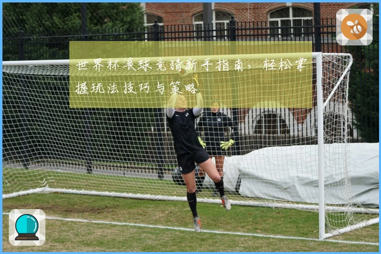 世界杯滚球竞猜新手指南，轻松掌握玩法技巧与策略