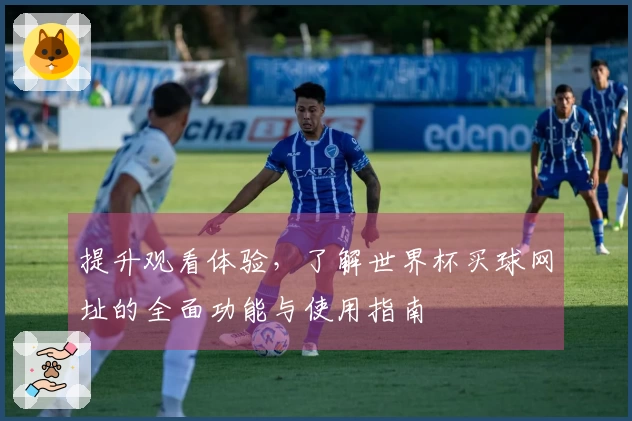 提升观看体验，了解世界杯买球网址的全面功能与使用指南