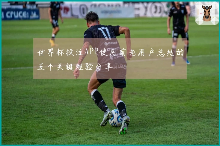 世界杯投注APP使用前老用户总结的五个关键经验分享