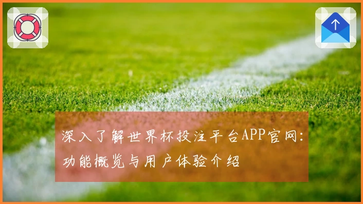 深入了解世界杯投注平台APP官网：功能概览与用户体验介绍