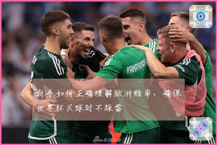新手如何正确理解欧洲赔率，确保世界杯买球时不踩雷
