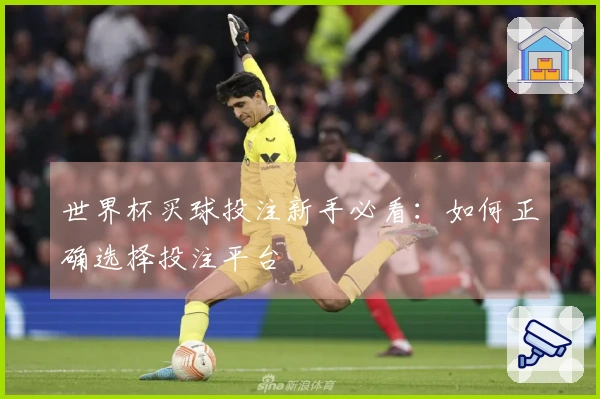 世界杯买球投注新手必看：如何正确选择投注平台