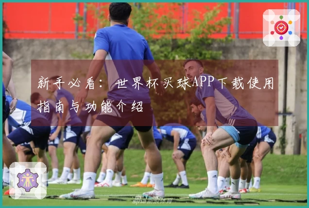 新手必看：世界杯买球APP下载使用指南与功能介绍