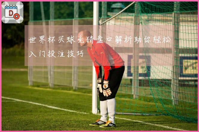 世界杯买球竞猜盘口解析助你轻松入门投注技巧