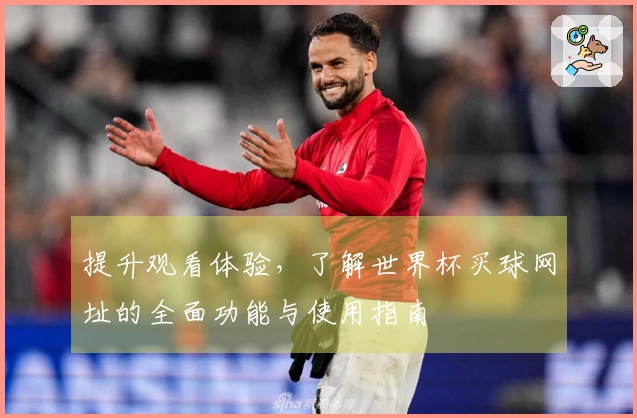 提升观看体验，了解世界杯买球网址的全面功能与使用指南