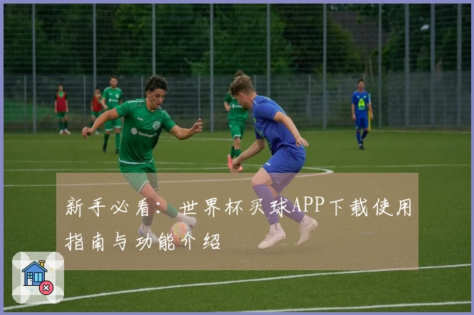 新手必看：世界杯买球APP下载使用指南与功能介绍