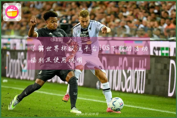 了解世界杯投注平台iOS下载的活动福利及使用说明
